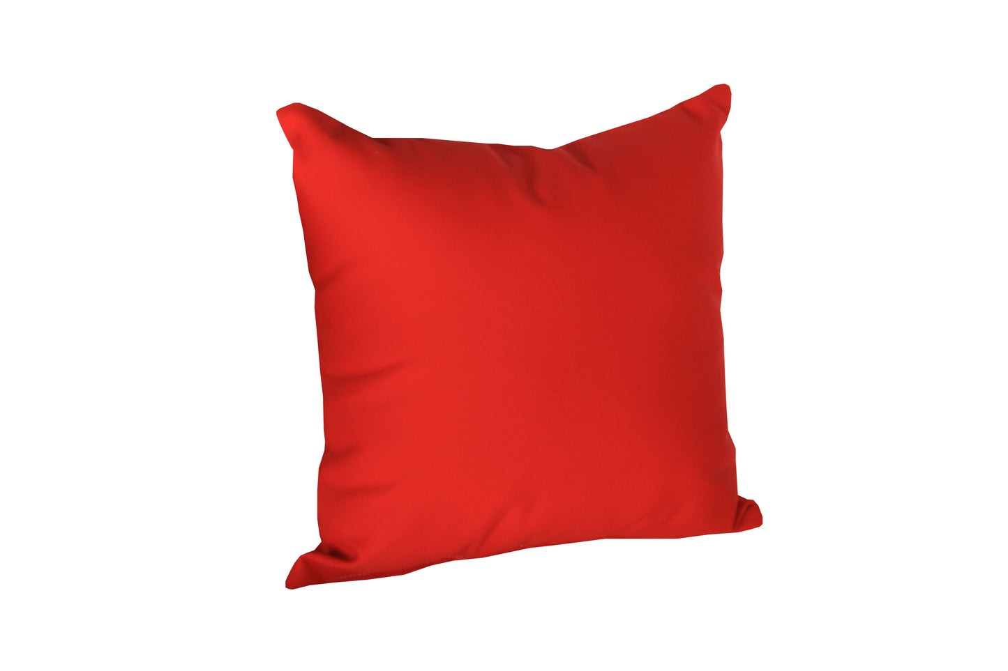15" Square Pillow
